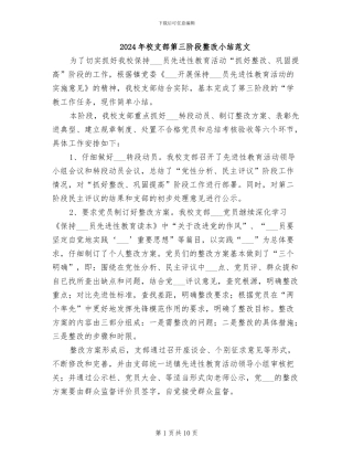 2024年校支部第三阶段整改小结范文