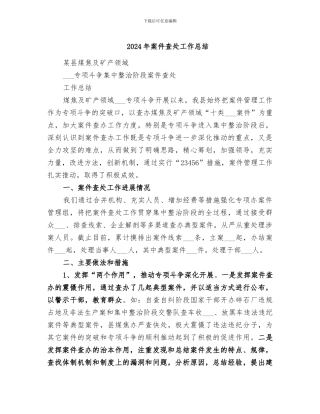 2024年案件查处工作总结
