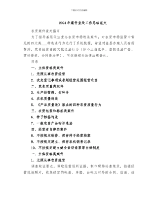 2024年案件查处工作总结范文
