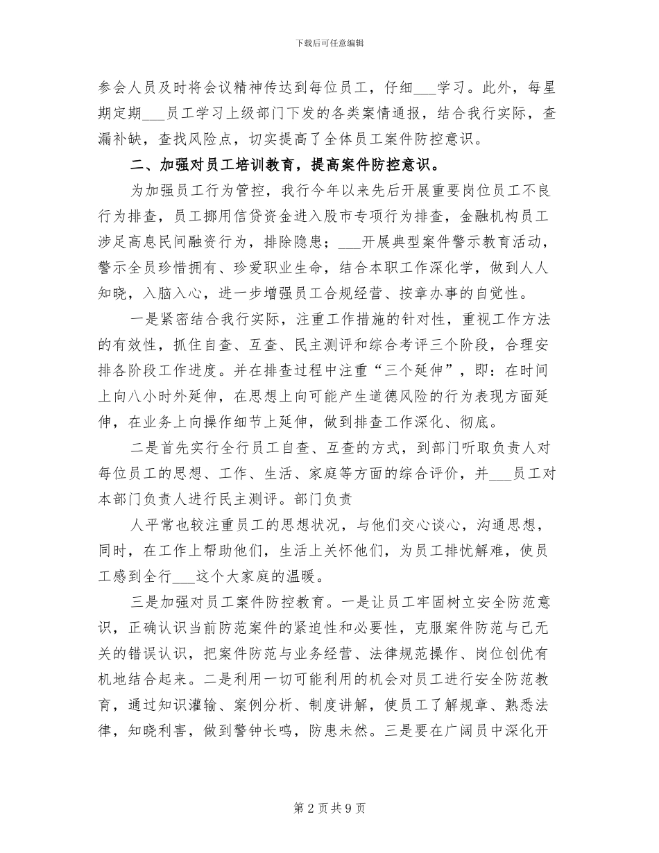 2024年案件防控总结模板_第2页