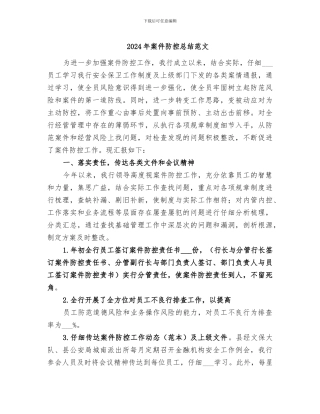 2024年案件防控总结范文