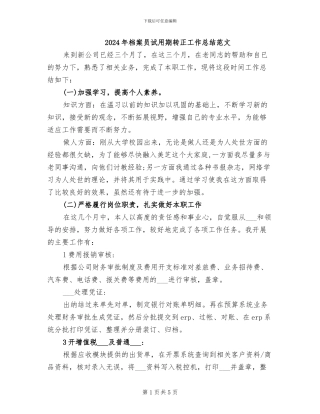 2024年档案员试用期转正工作总结范文