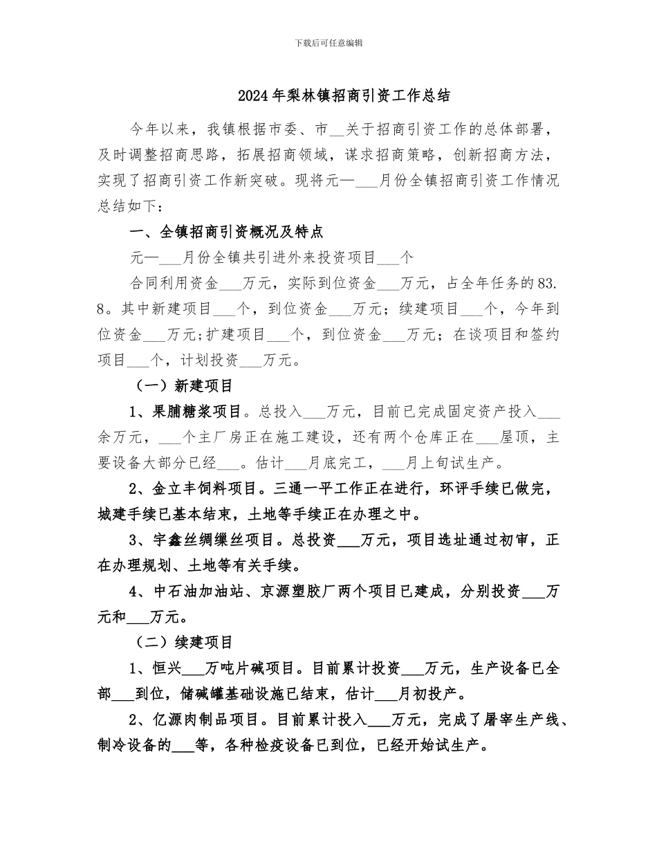 2024年梨林镇招商引资工作总结_第1页