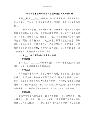 2024年检察院集中治理司法领域突出问题活动总结