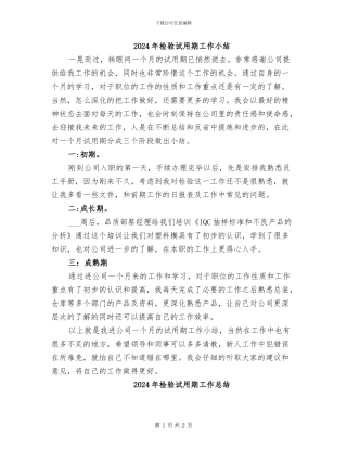 2024年检验试用期工作小结