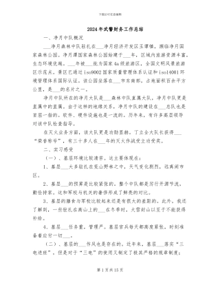 2024年武警财务工作总结