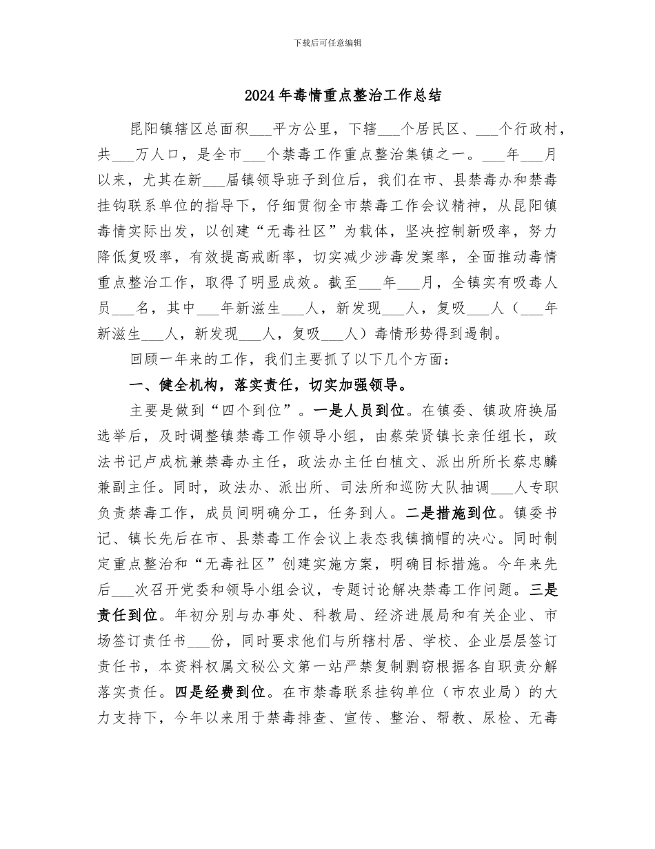 2024年毒情重点整治工作总结_第1页
