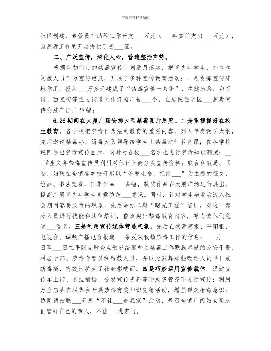 2024年毒情重点整治工作总结_第2页