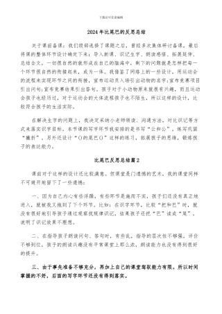 2024年比尾巴的反思总结