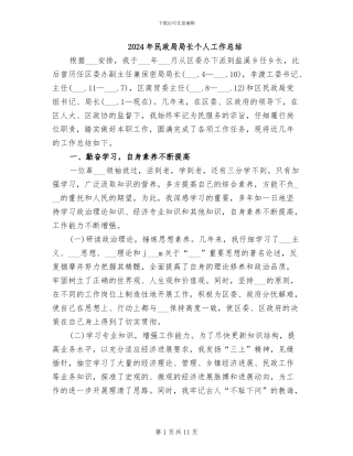 2024年民政局局长个人工作总结