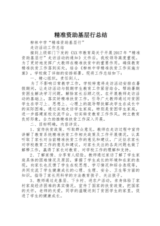 精准资助基层行总结