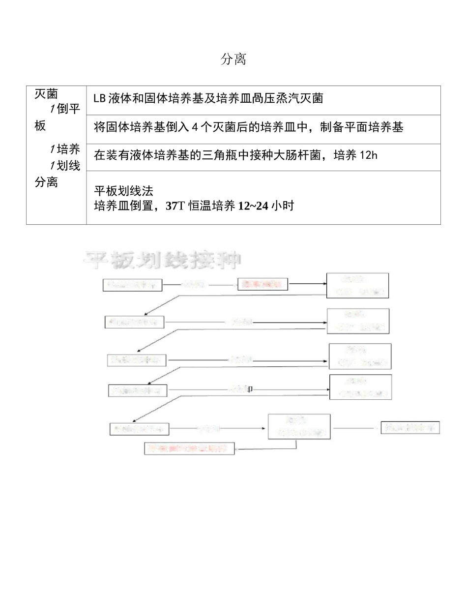 大肠杆菌实验总结_第1页