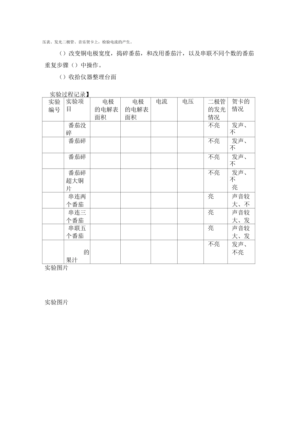 原电池演示实验装置改进_第3页