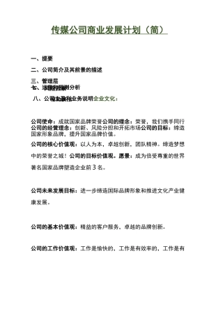 传媒公司商业发展计划(简)