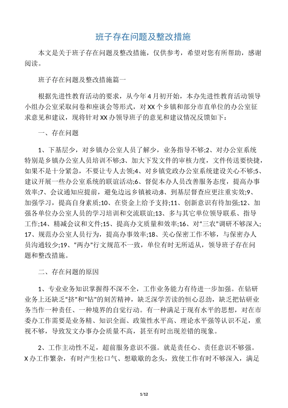 班子存在问题及整改措施_第1页