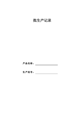 口罩批生产记录