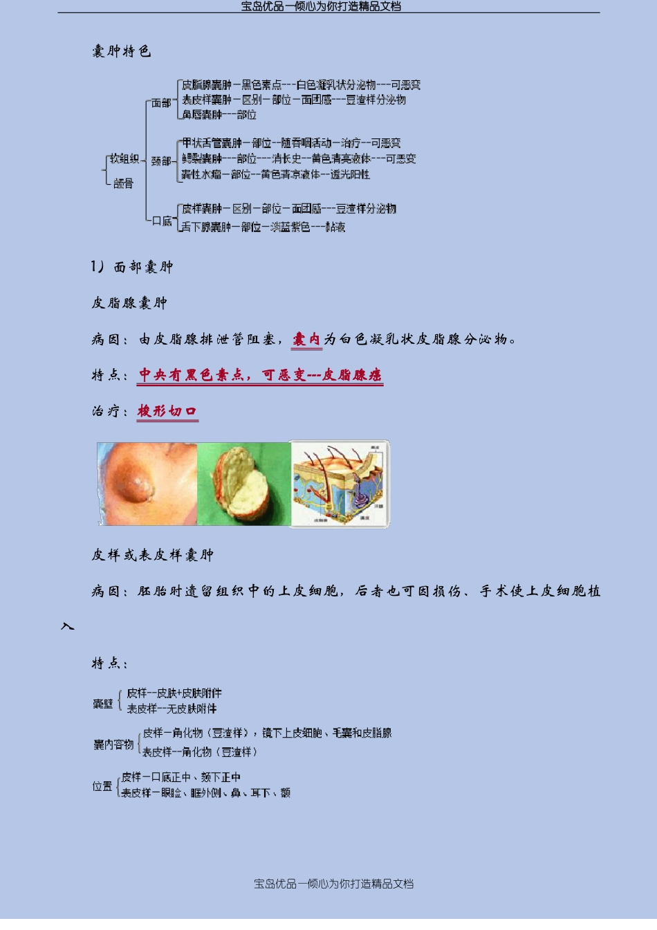 口腔外科学——口腔颌面部良性肿瘤及瘤样病变_第3页