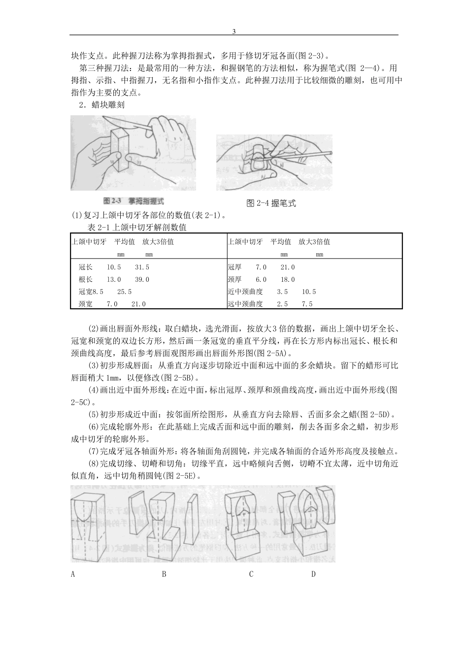 口腔解剖生理学试验指导牙体观察_第3页