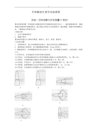 口腔解剖生理学试验指导牙体观察