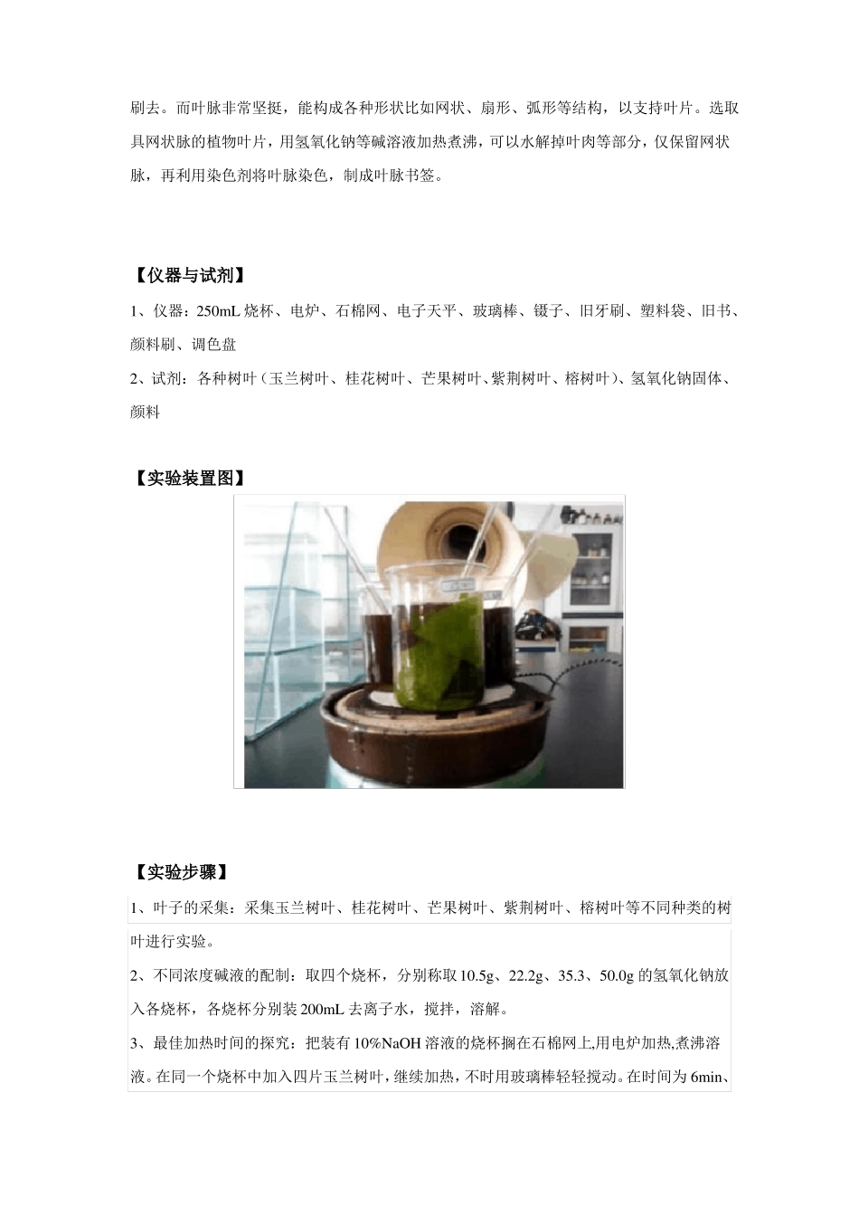 叶脉书签的制作方案图文_第3页