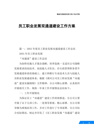 员工职业发展双通道建设工作方案