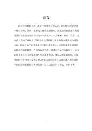 商业街营销报告1056121572