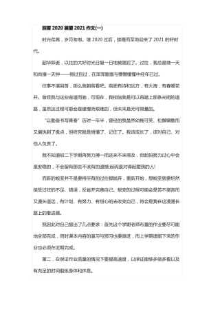 回首2020展望2021作文