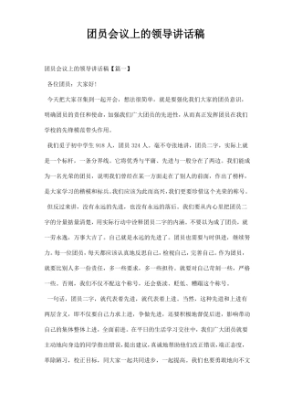 团员会议上的领导讲话稿