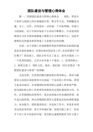 团队建设与管理心得体会