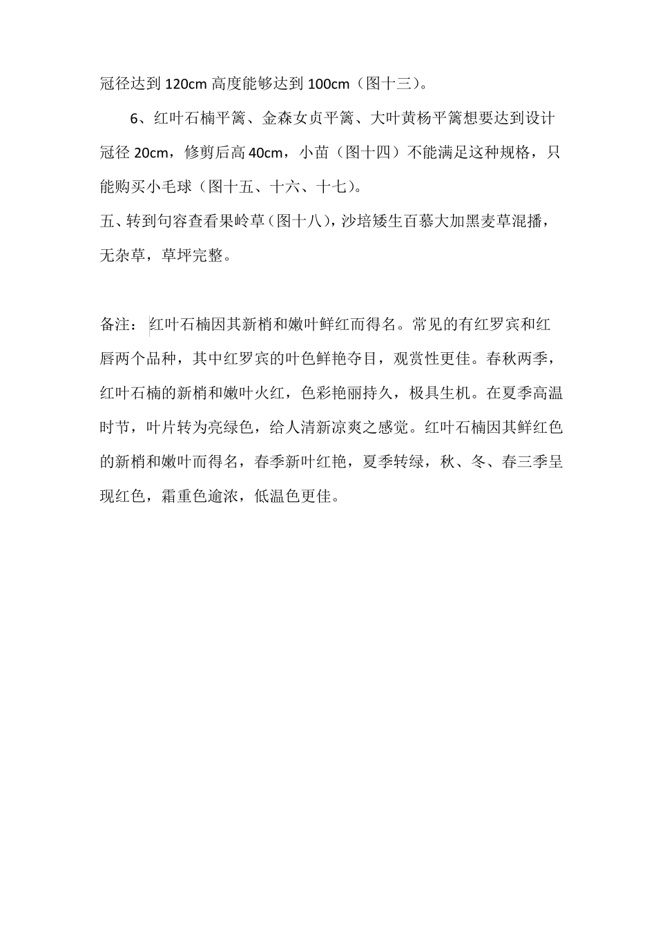 园林绿化考察汇报_第2页