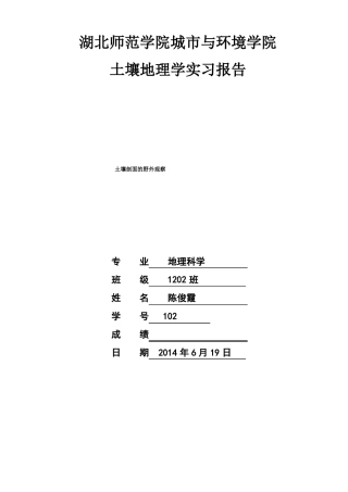 土壤剖面试验报告