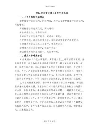 2024年民营经济上半年工作总结