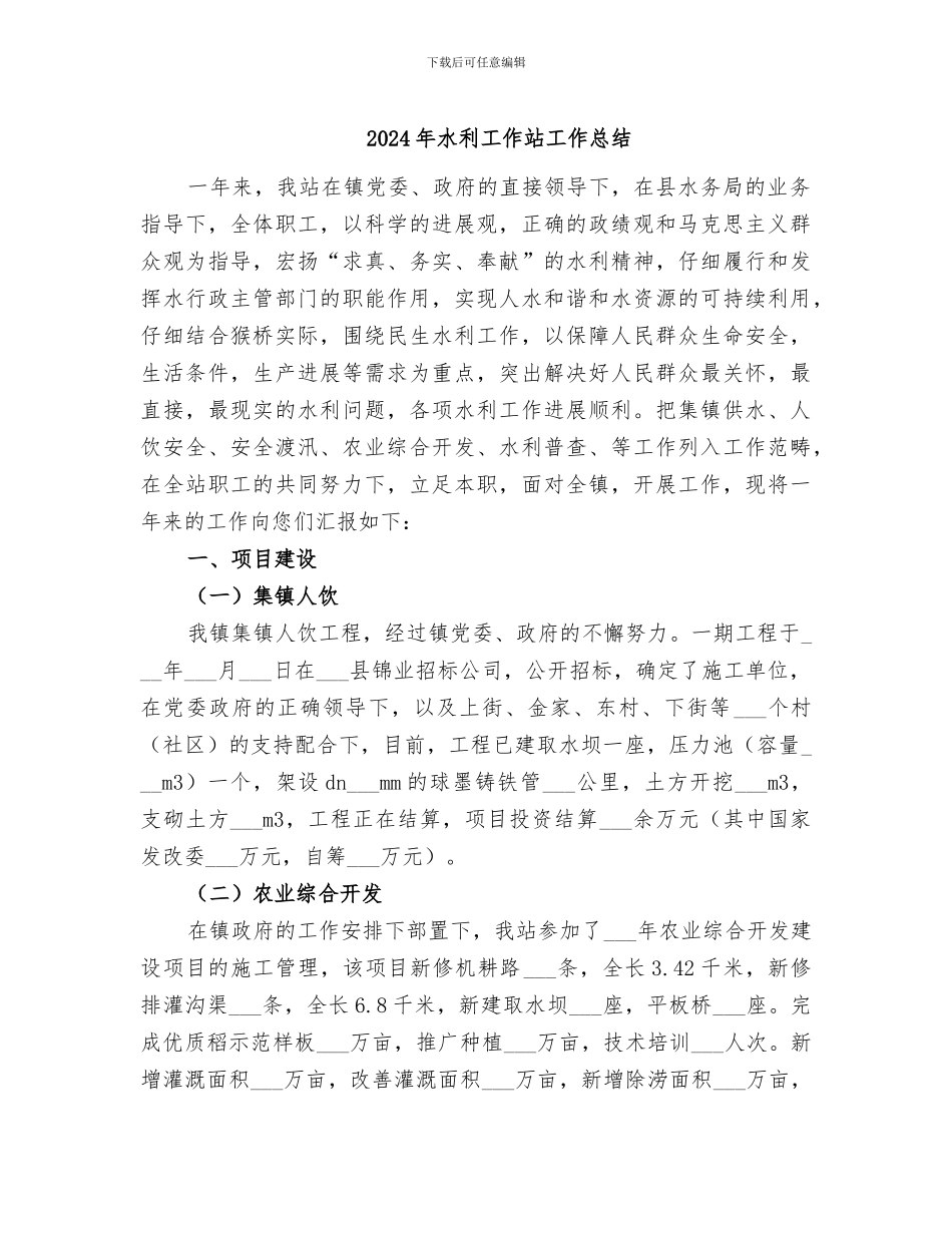 2024年水利工作站工作总结_第1页