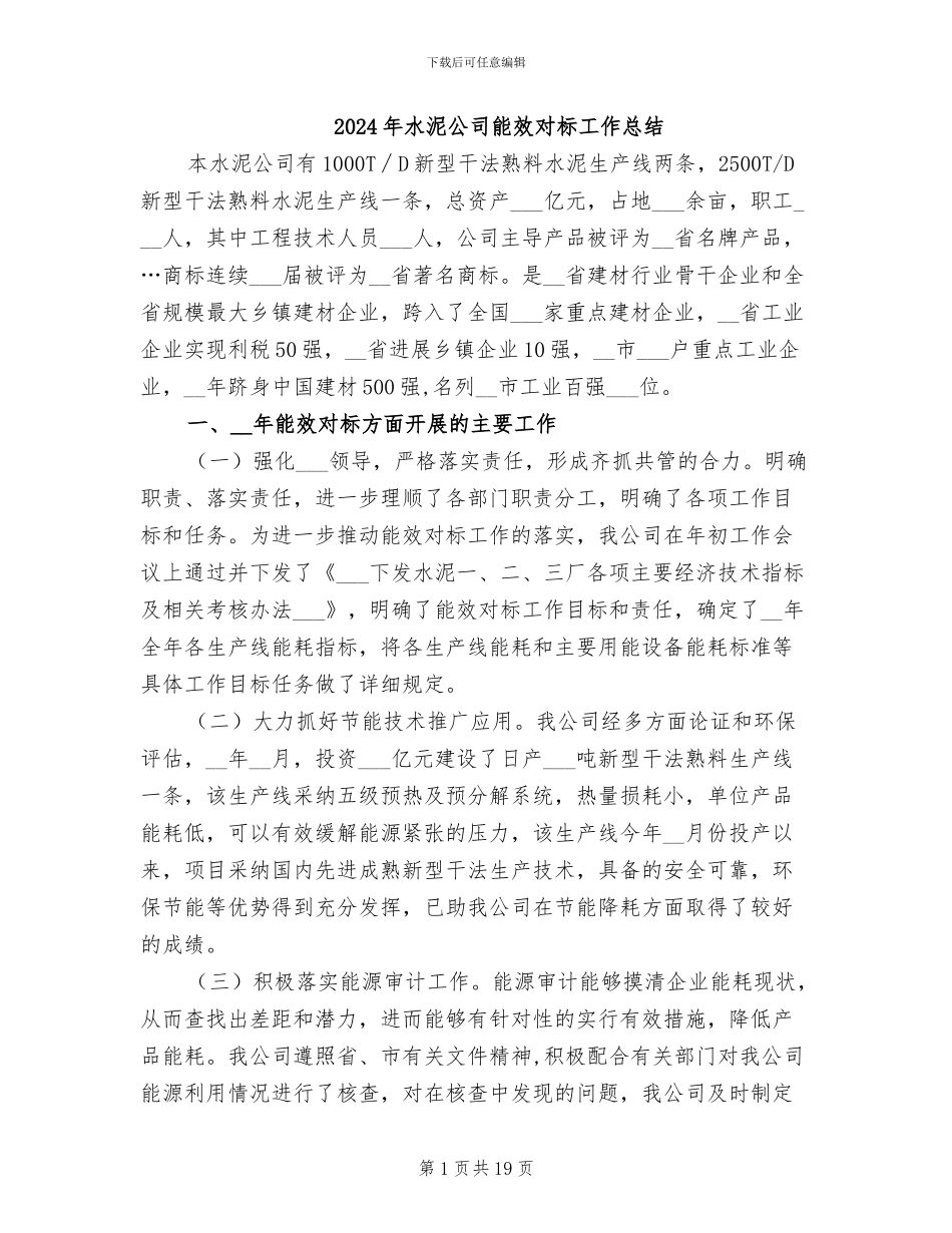 2024年水泥公司能效对标工作总结_第1页