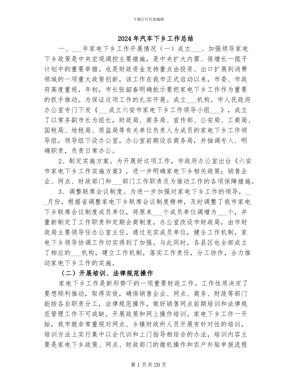 2024年汽车下乡工作总结_第1页