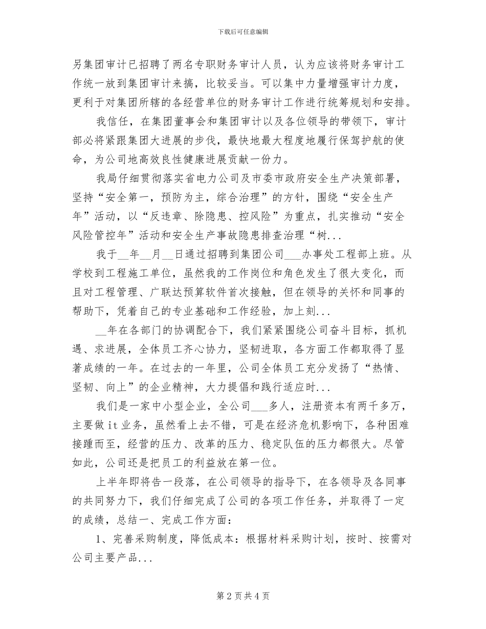 2024年汽车公司审计工作总结_第2页