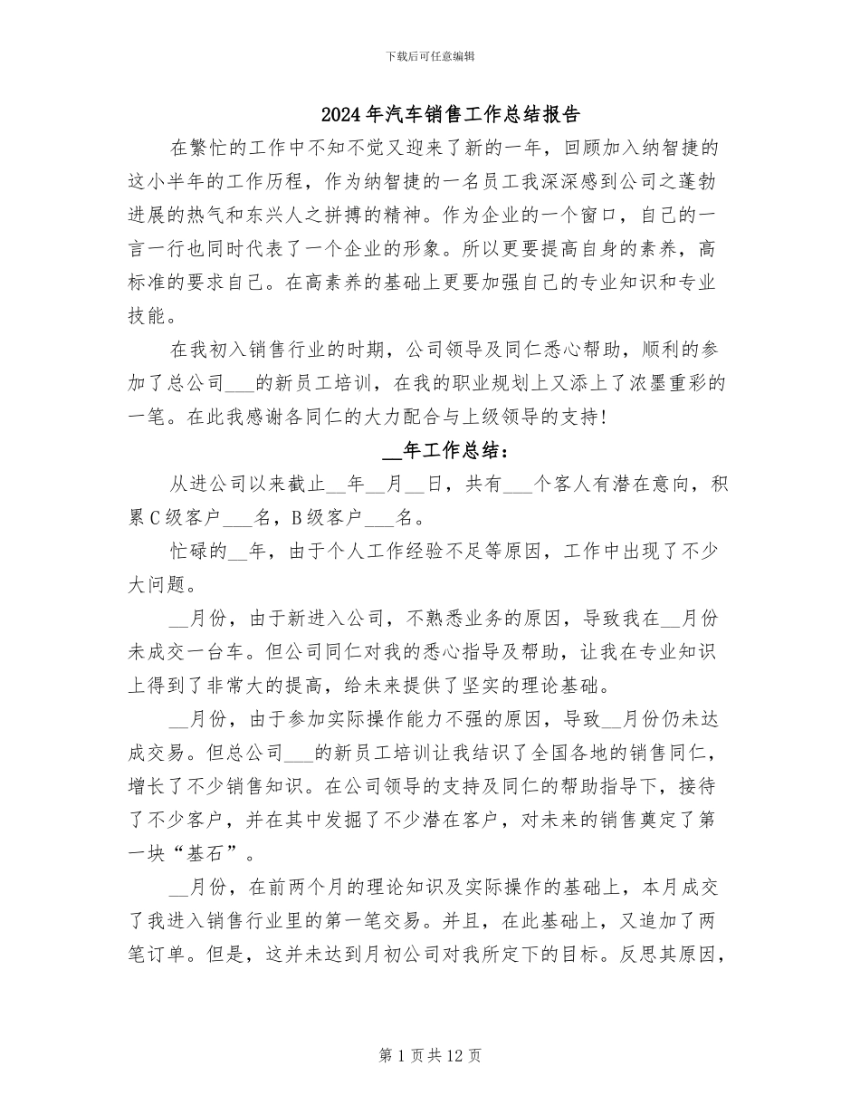2024年汽车销售工作总结报告_第1页