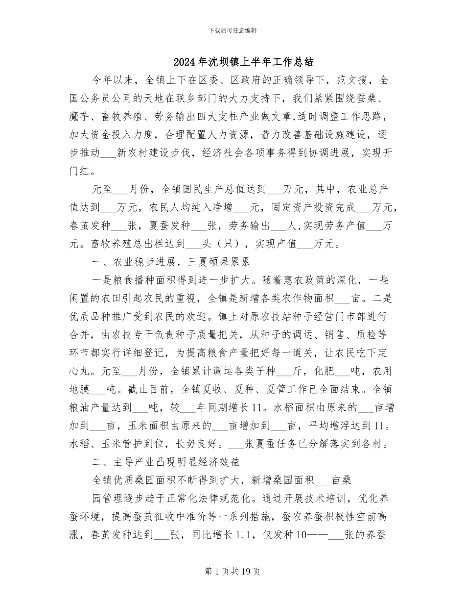 2024年沈坝镇上半年工作总结_第1页