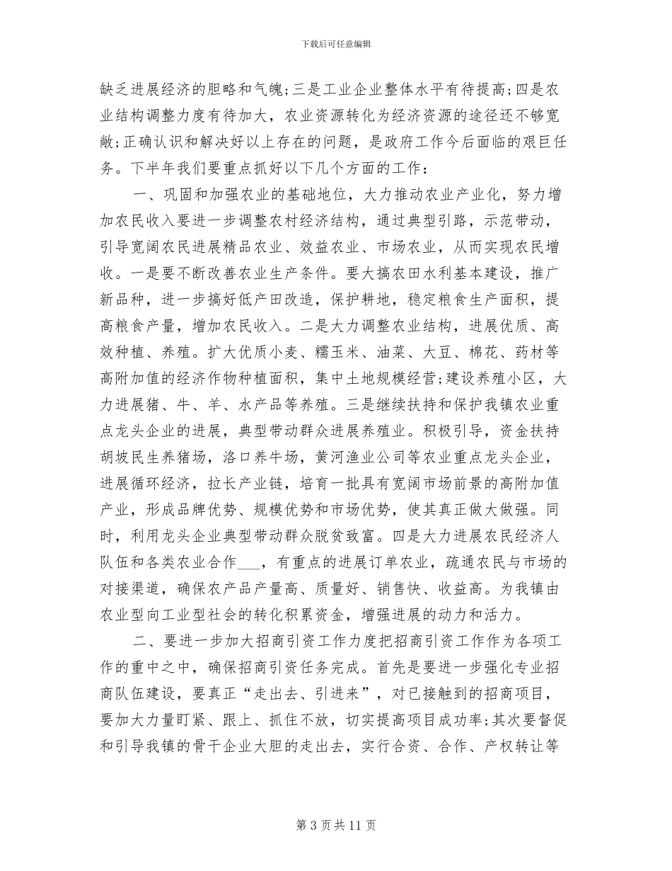 2024年河洛镇上半年工作总结_第3页