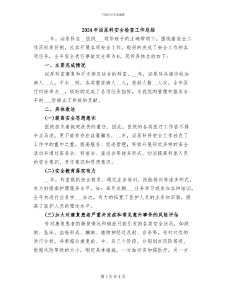 2024年泌尿科安全检查工作总结