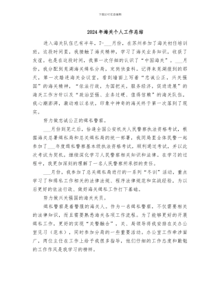 2024年海关个人工作总结