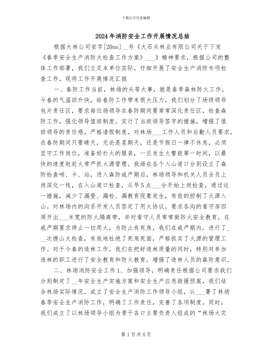 2024年消防安全工作开展情况总结_第1页