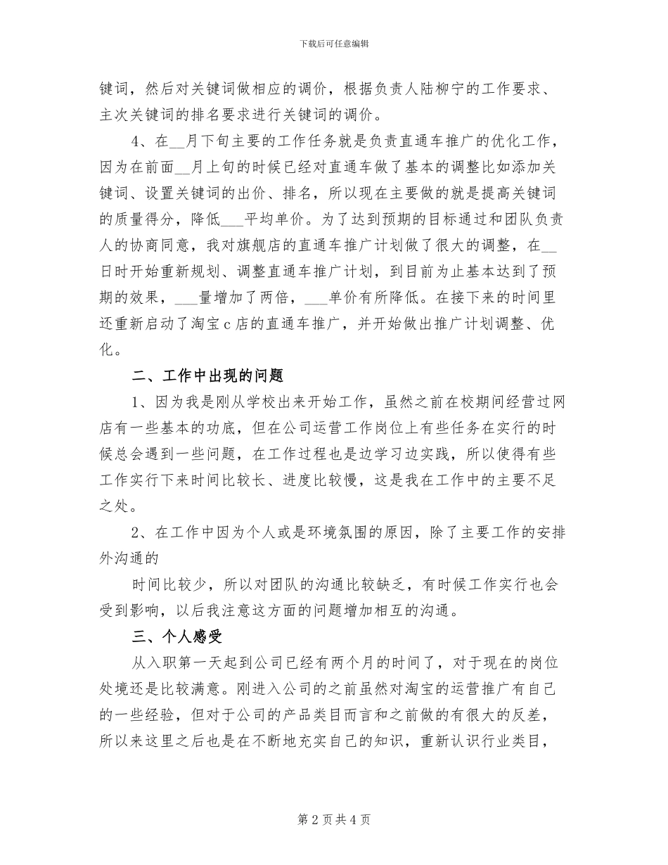 2024年淘宝运营专员试用期转正工作总结范文_第2页