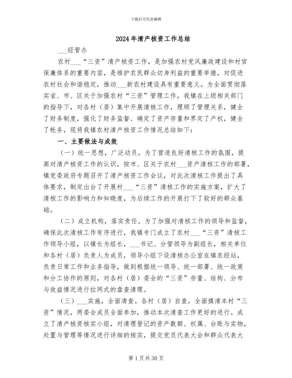 2024年清产核资工作总结_第1页