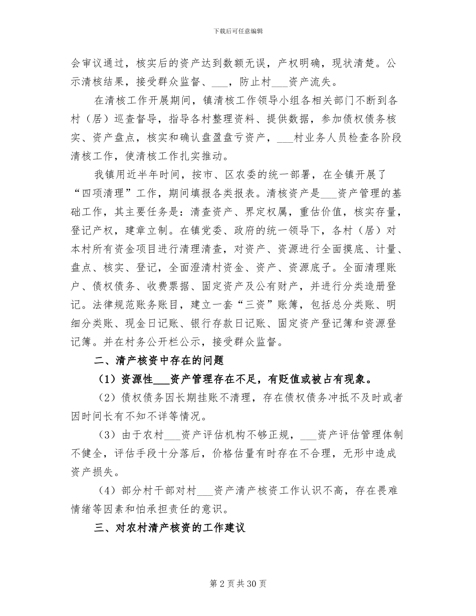 2024年清产核资工作总结_第2页
