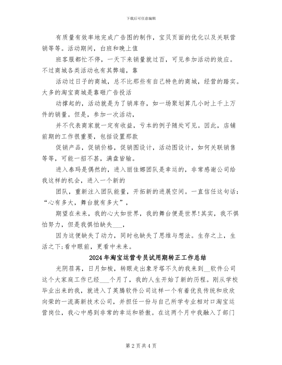 2024年淘宝美工设计个人工作总结_第2页