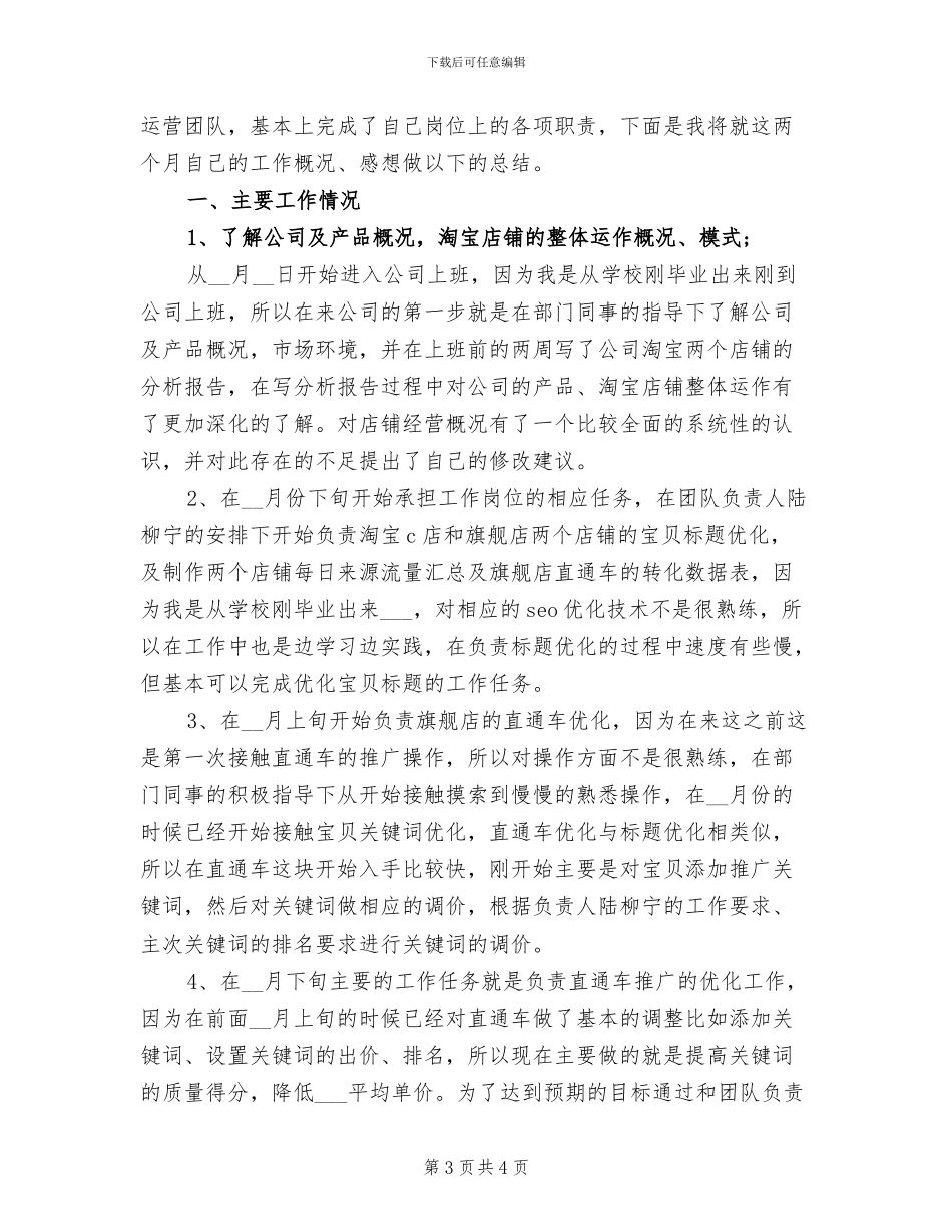 2024年淘宝美工设计个人工作总结_第3页