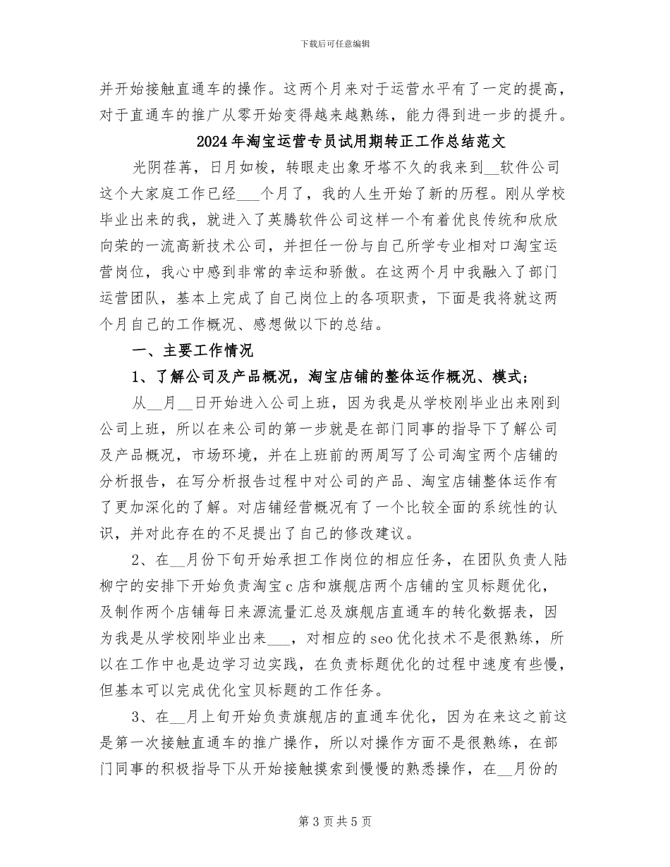 2024年淘宝运营专员试用期转正工作总结_第3页