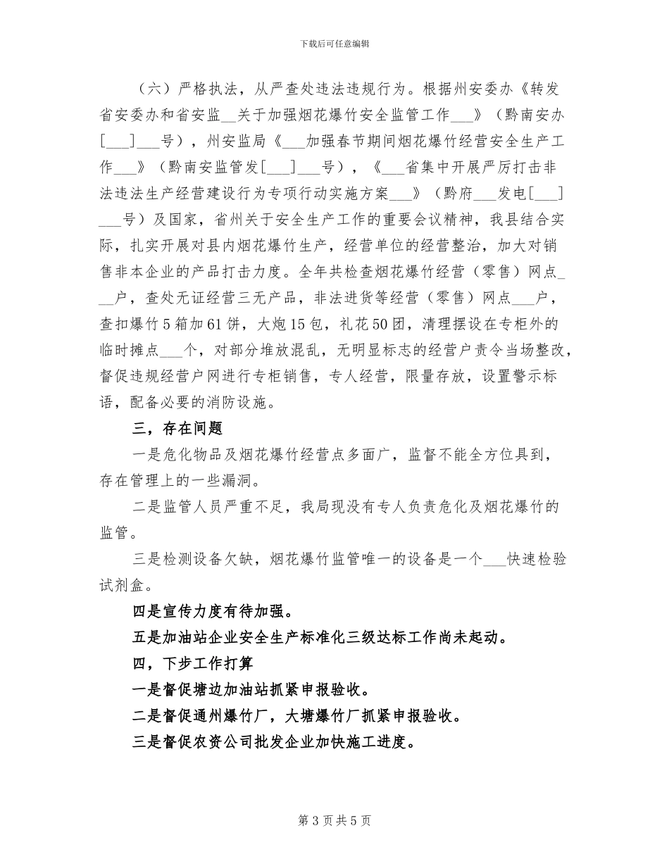 2024年烟花爆竹安全监管工作总结_第3页