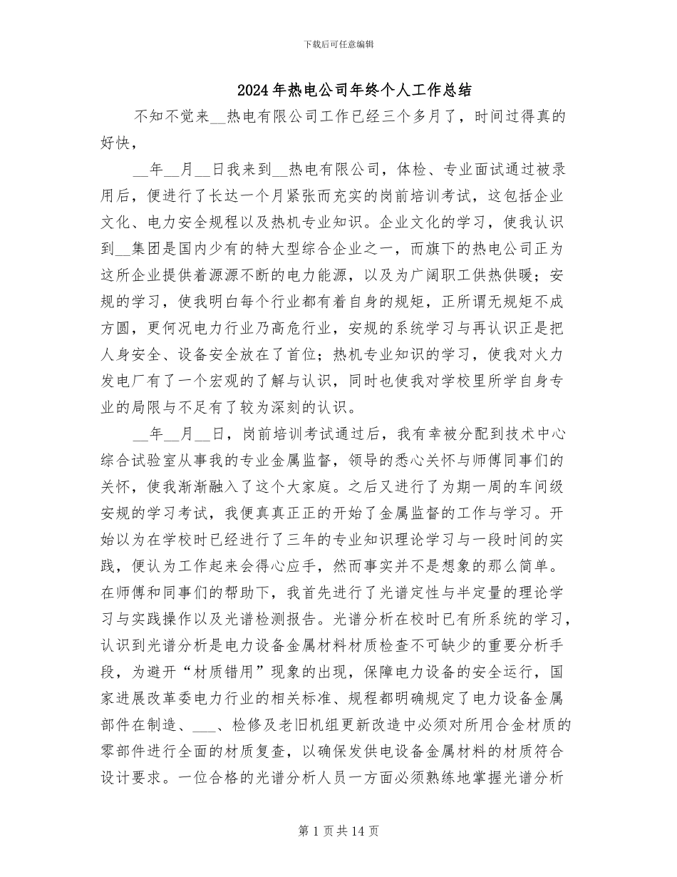 2024年热电公司年终个人工作总结_第1页